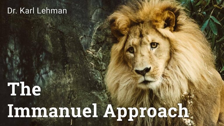 The Immanuel Approach