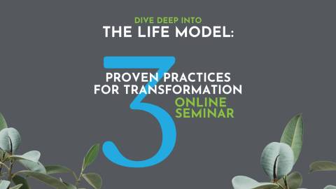 This is the Life Model